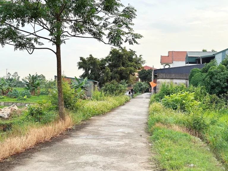 Bộ Nông nghiệp và Môi trường nói về việc cấp sổ đỏ đất ở cho đất lấn chiếm